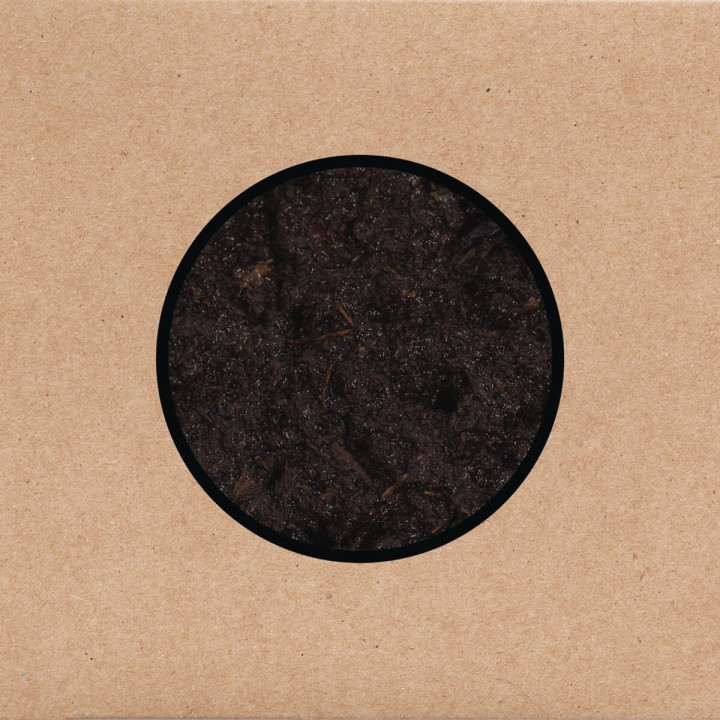 Swans - Birthing (3LP)