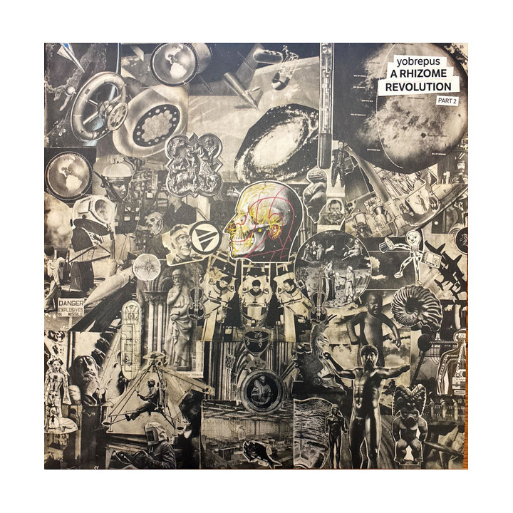 Yobrepus - Rhizome Revolution Part 2 (LP)