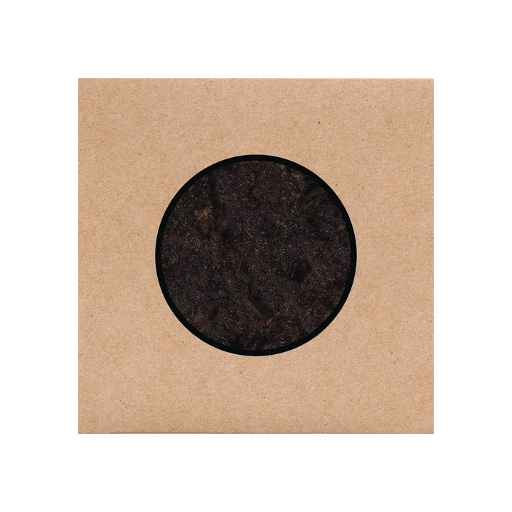 Swans - Birthing (2CD)