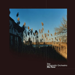 Cinematic Orchestra The - Ma Fleur (Clear Vinyl) (2LP)