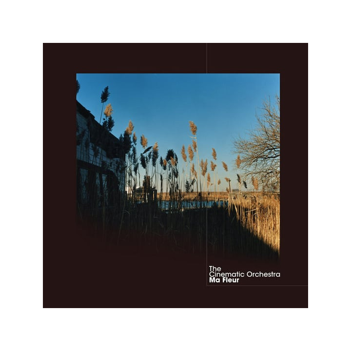 Cinematic Orchestra The - Ma Fleur (Clear Vinyl) (2LP)