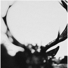 Ihsahn - Ihsahn (CD)