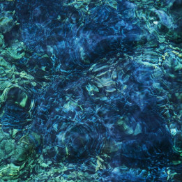 Aoba Ichiko - Luminescent Creatures  (LP)