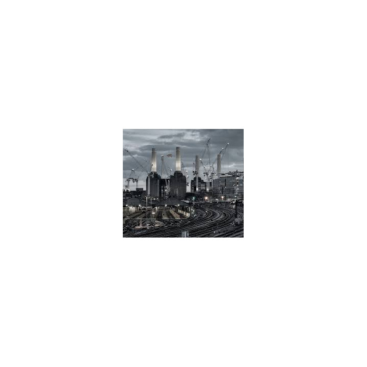 Pink Floyd - Animals (2018 Remix) (LP)