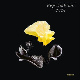 Various - Pop/Ambient 2024 (LP)