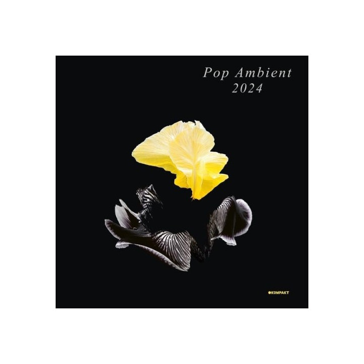 Various - Pop/Ambient 2024 (LP)