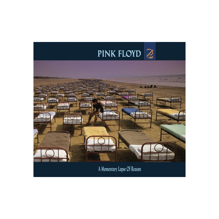 Pink Floyd - A Momentary Lapse of Reason (LP)
