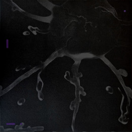 Bled - Terra Incognita  (LP)