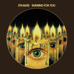 Strawbs The - Burning For You (CD)