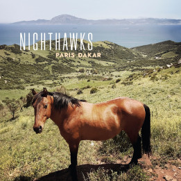 Nighthawks - Paris Dakar (CD)