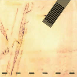 Soda Stereo - Signos (LP)