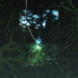 Kiwi - Sama (CD)