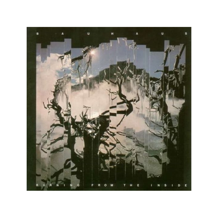 Bauhaus - Burning From The Inside (CD)