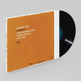 Giovanni Guidi Trio - A New Day (LP)