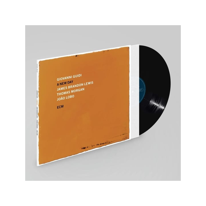 Giovanni Guidi Trio - A New Day (LP)