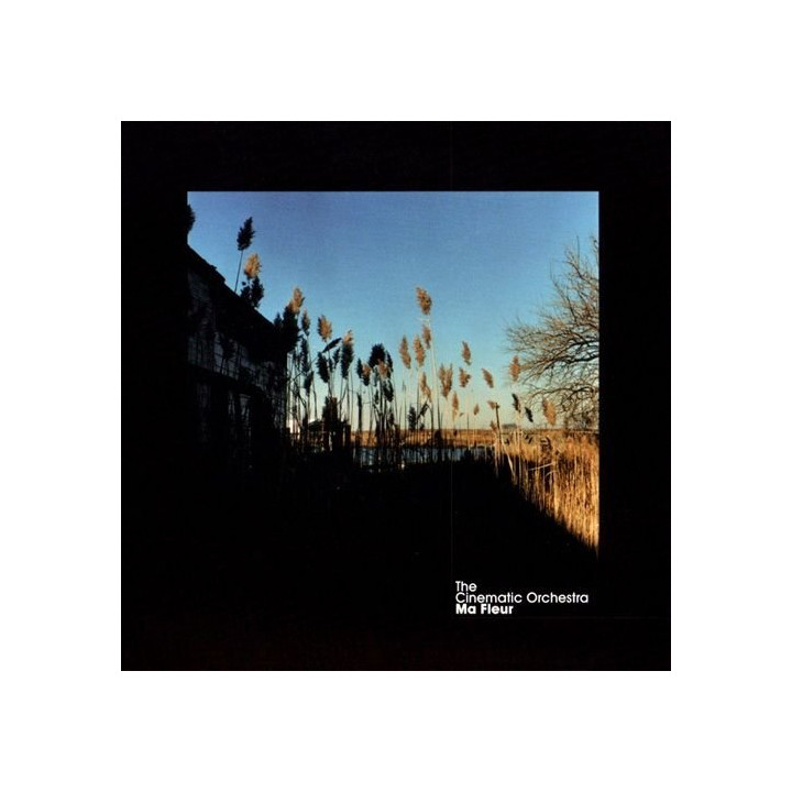 Cinematic Orchestra The - Ma Fleur (Tour Edition 2015) (CD)