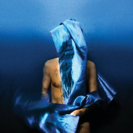 Banhart Devendra - Flying Wig (LP)