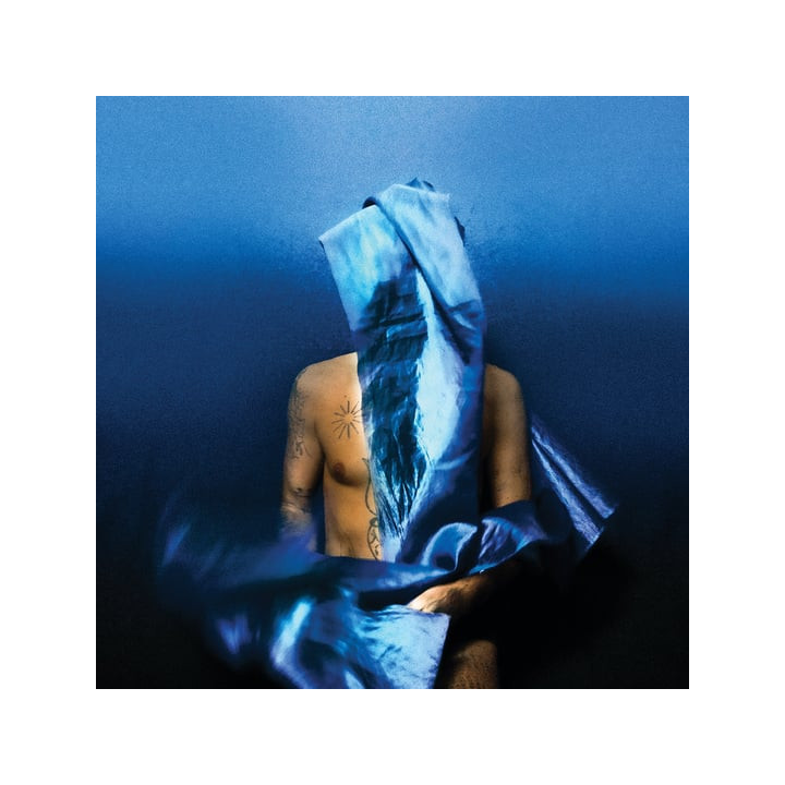Banhart Devendra - Flying Wig (LP)