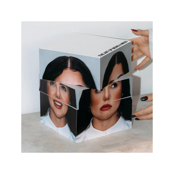 Spencer Smith Lauren - The Art Of Being A Mess  (LP)