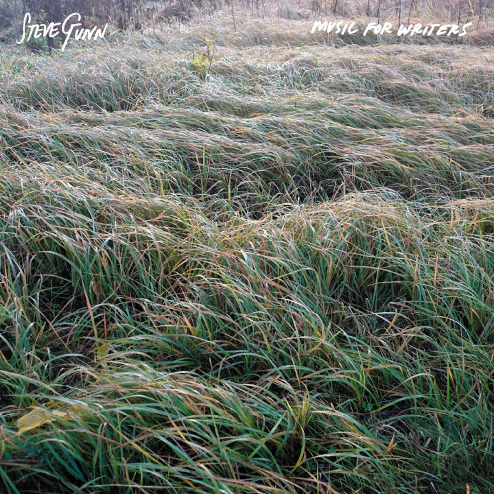 Gunn Steve - Music For Writers (LP)