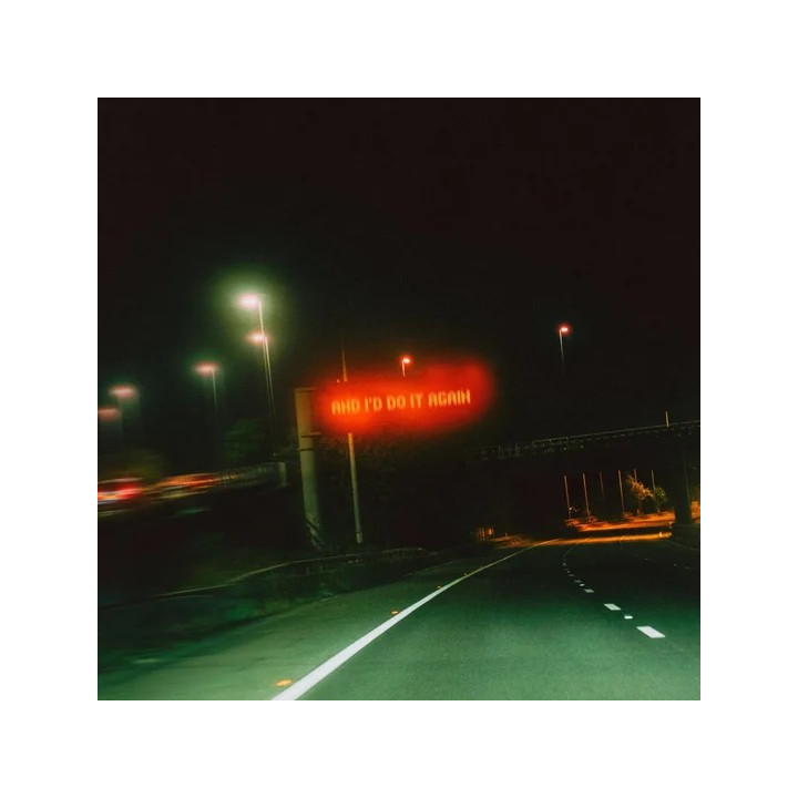 Only The Poets - And I'd Do It Again  (LP)