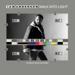 Anderson Ian - Walk Into Light (LP)
