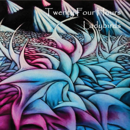 Twenty Four Hours - Ladybirds (CD)