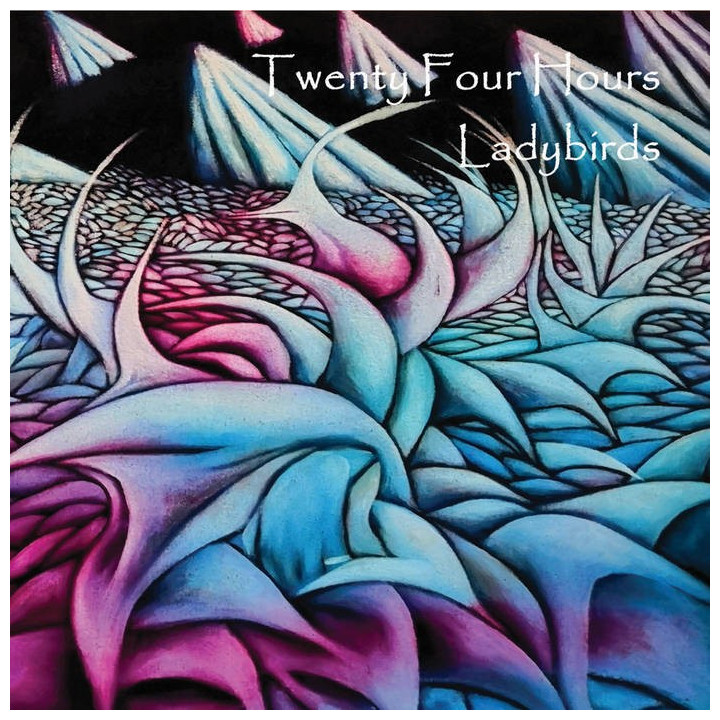 Twenty Four Hours - Ladybirds (CD)