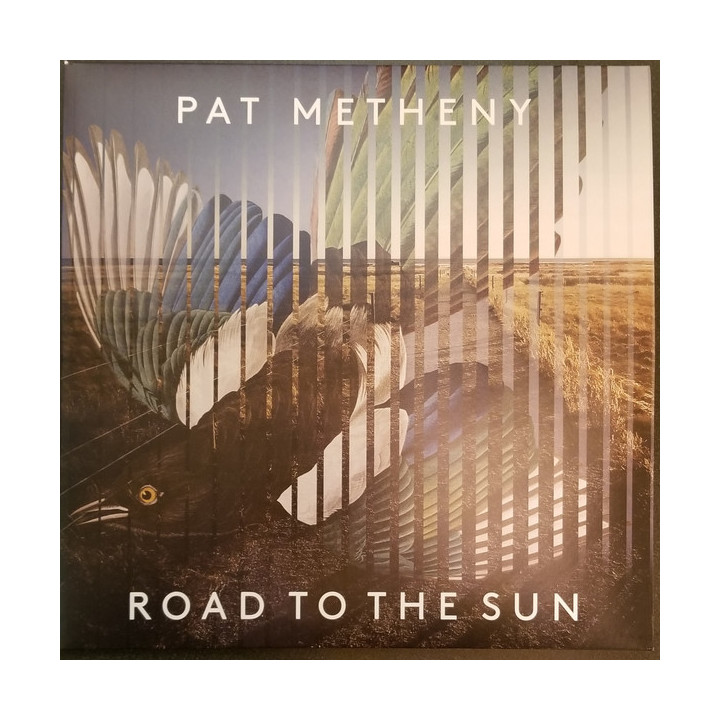 Metheny Pat - Road To The Sun (2LP)