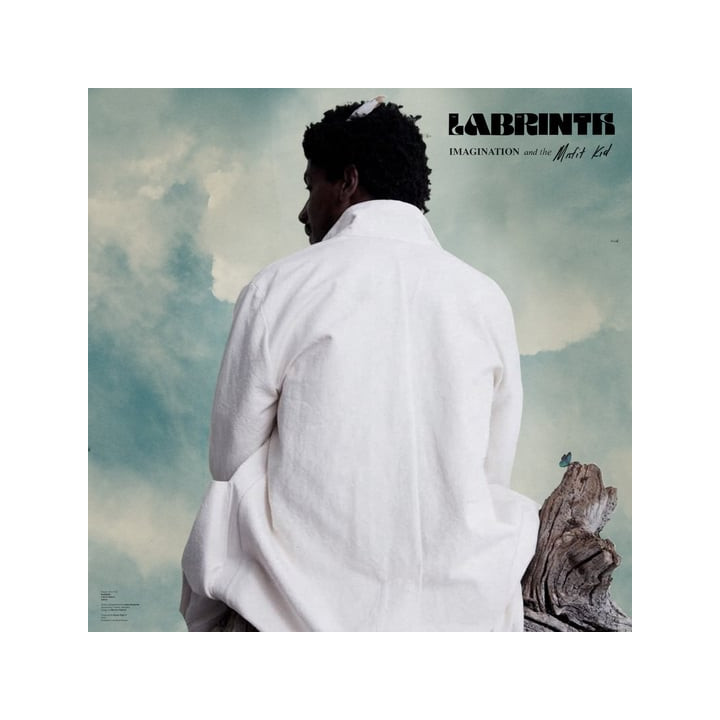 Labrinth - Imagination (LP)