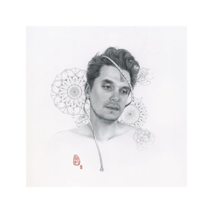 Mayer John - The Search For Everything (2LP)