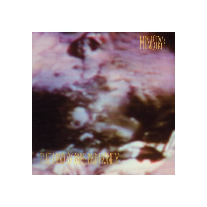 Ministry - The Land Of Rape And Honey (2LP)