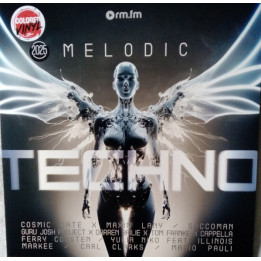 Various - Melodic Techno 2025  (LP)