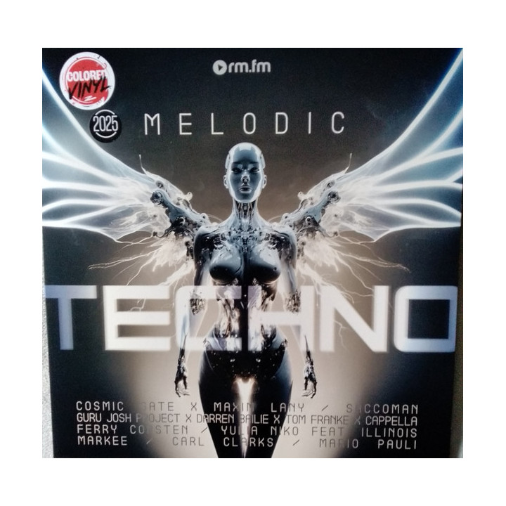 Various - Melodic Techno 2025  (LP)