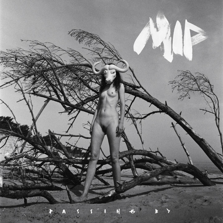 MIP - Passing By (CD)