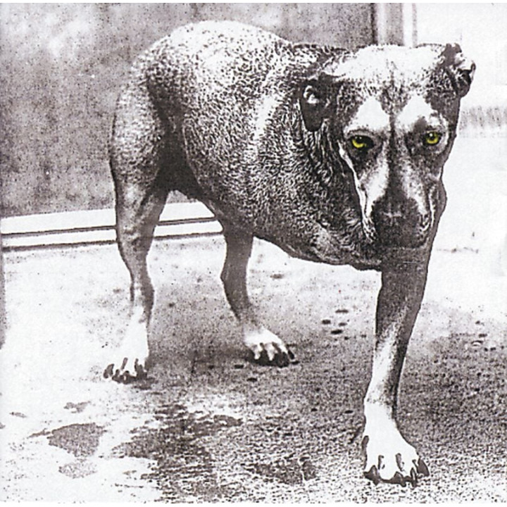 Alice In Chains - Alice In Chains (30th Anniv.) (2LP Yellow)