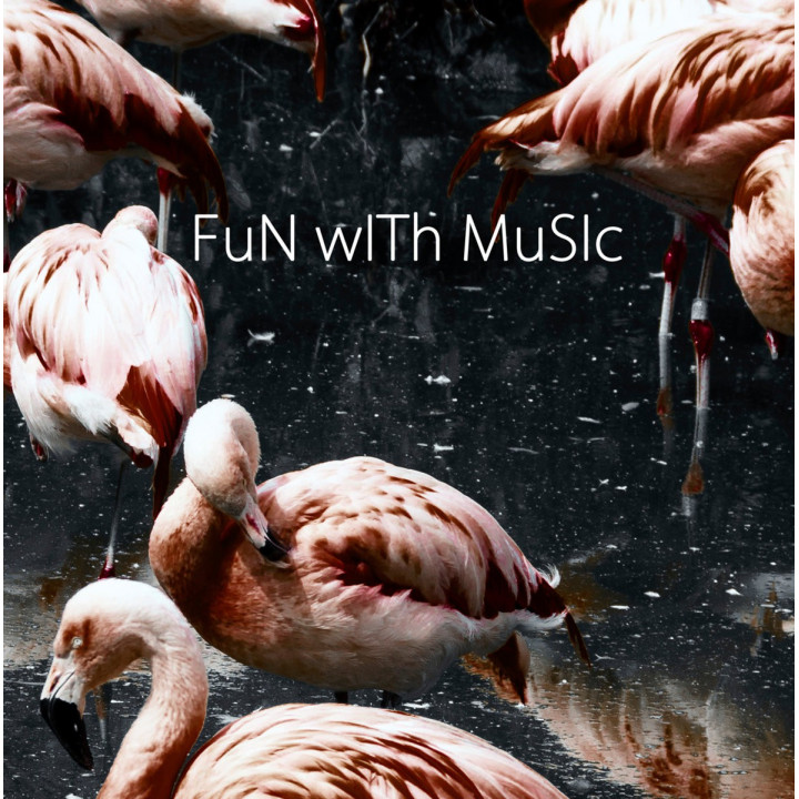 a.P.A.t.T. - Fun With Music  (CD)