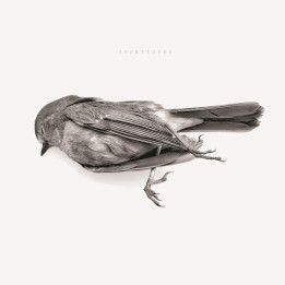Downriver Dead Men Go - Departures (CD)