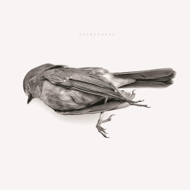 Downriver Dead Men Go - Departures (CD)