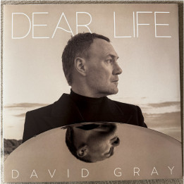 Gray David - Dear Life (2LP)