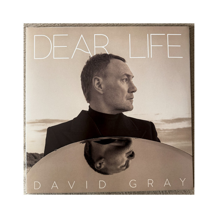 Gray David - Dear Life (2LP)
