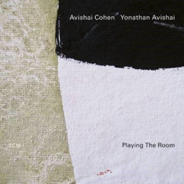 Cohen Avishai - Playing Th Room (LP)