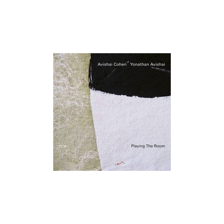 Cohen Avishai - Playing Th Room (LP)