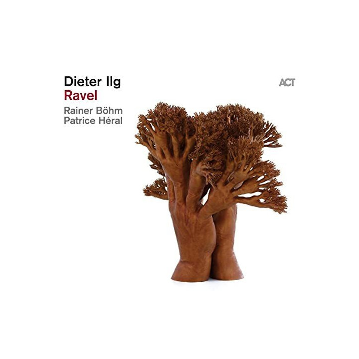 Ilg Dieter - Ravel (2LP)