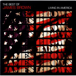 Brown James - Best Of (CD)