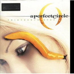 Perfect Circle A - Thirteenth Step (2LP)