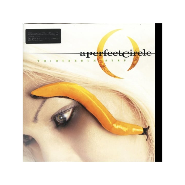 Perfect Circle A - Thirteenth Step (2LP)