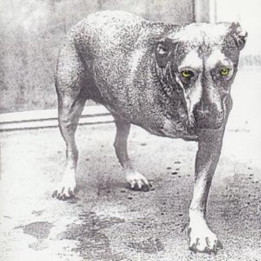 Alice In Chains - Alice In Chains (CD)