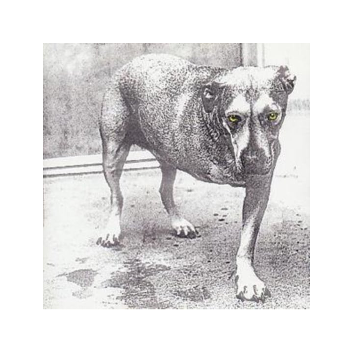 Alice In Chains - Alice In Chains (CD)