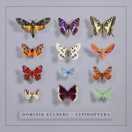 Eulberg Dominik - Lepidoptera (2LP)